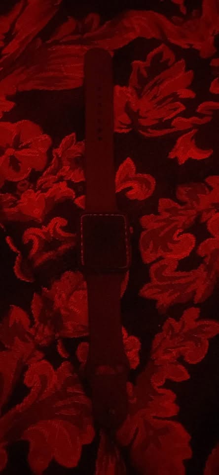 Series 3 Apple Watch