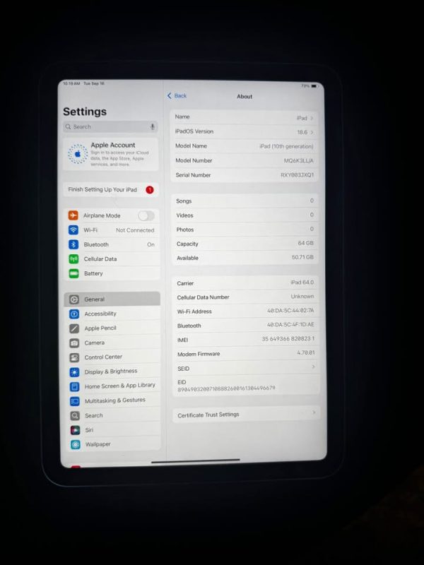 iPad 10th Gen 64GB Cellular