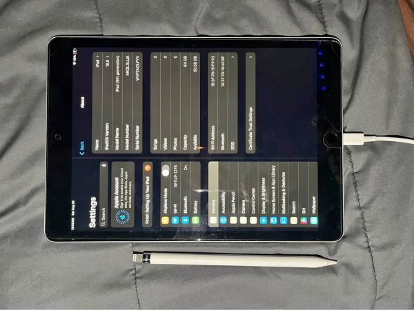 Ipad 9th gen and Apple Pencil