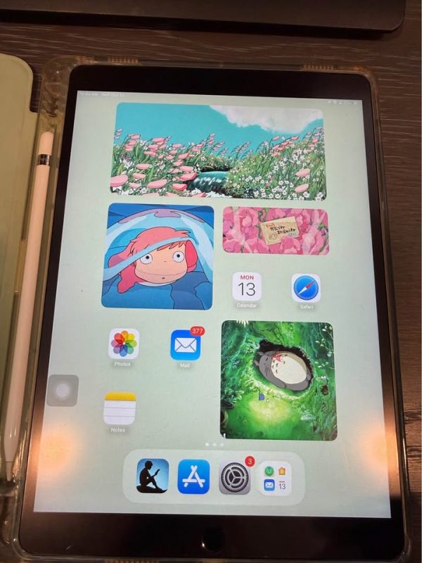 iPad Air 3