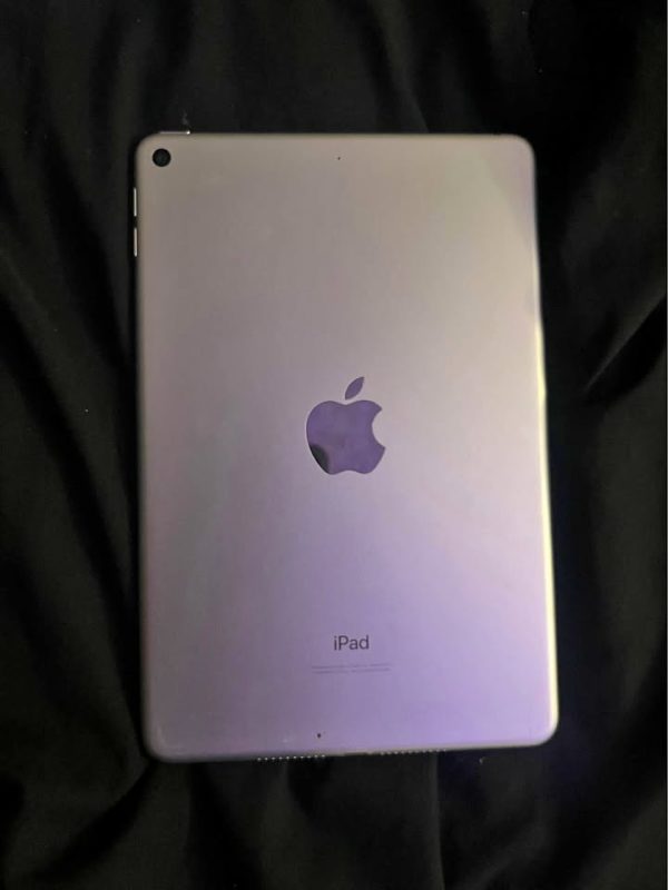 Ipad mini 5 64GB unlocked (WHITE)