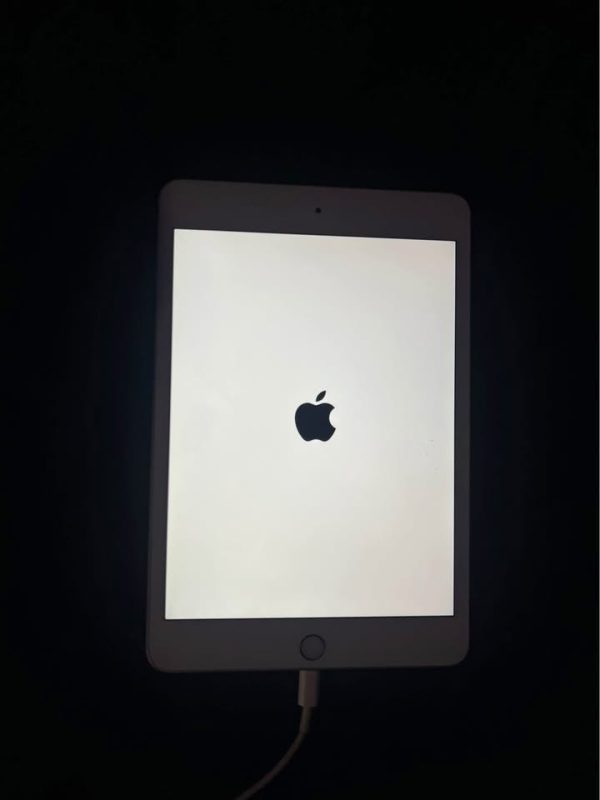 Ipad mini 5 64GB unlocked (WHITE)