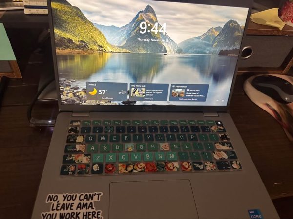 Dell latitude 5420 Laptop