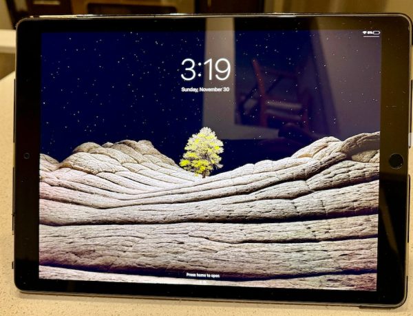 iPad Pro 12.9" (2nd gen)