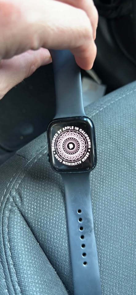 Apple Watch Series 8 (45mm) (WiFi+cellular)