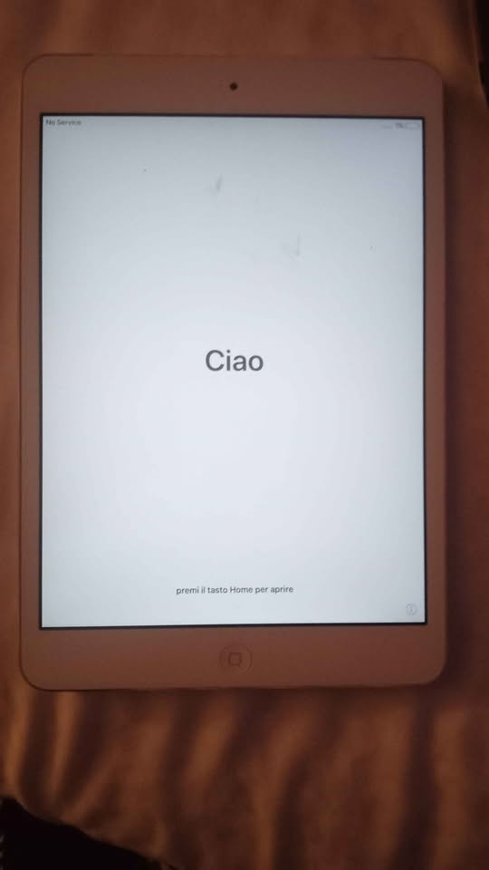 iPad A1490