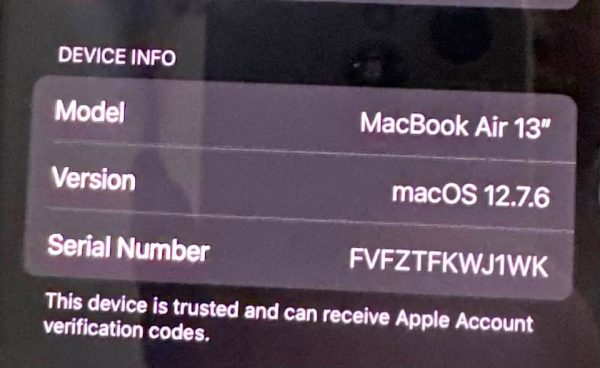 Macbook Air 13in with Apple Mouse/Charger