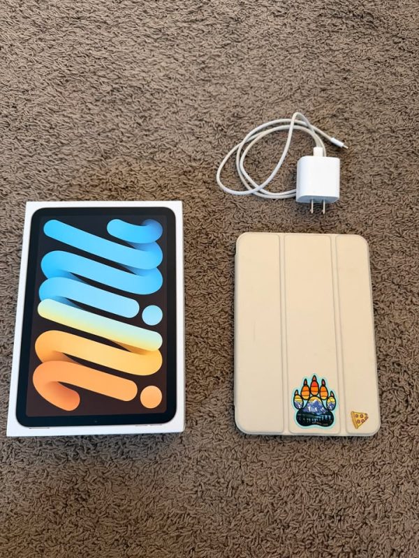 iPad Mini 6 Starlight