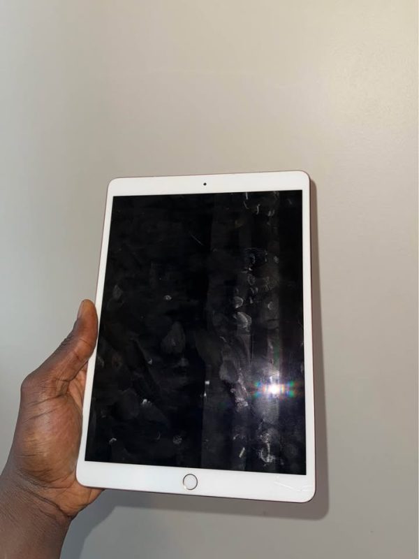 Apple ipad Pro (10.5inch) with case and Apple Pencil USB