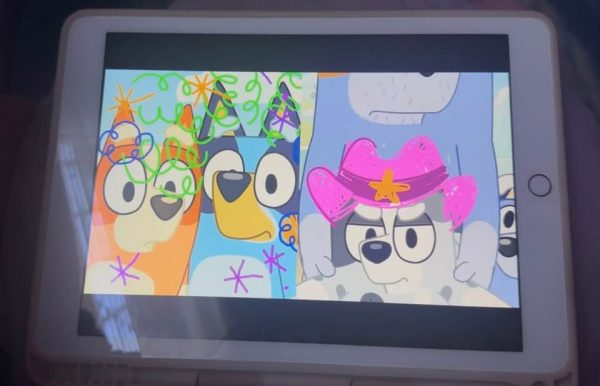 iPad WiFi 128GB Gold 5th gen