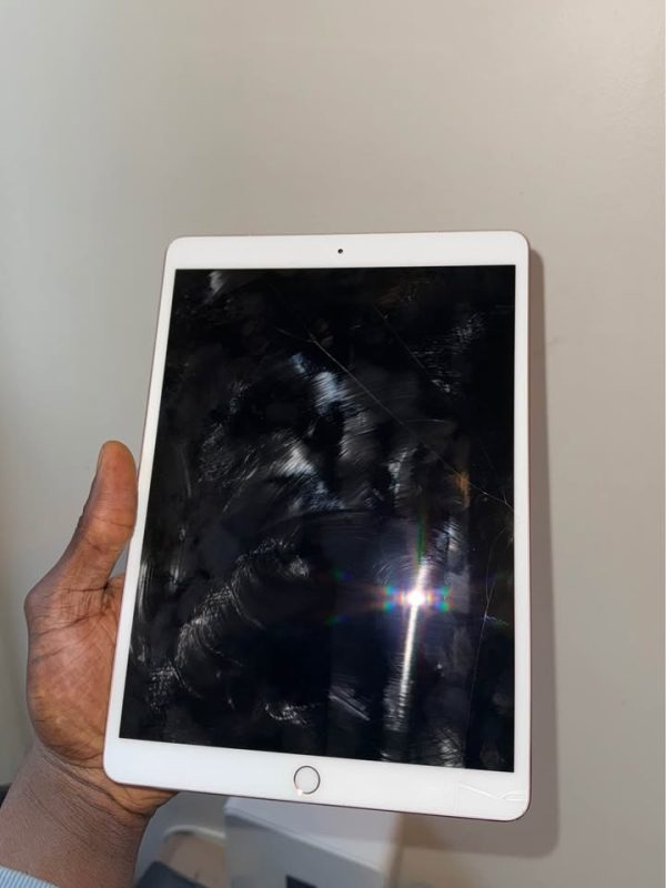 Apple ipad Pro (10.5inch) with case and Apple Pencil USB