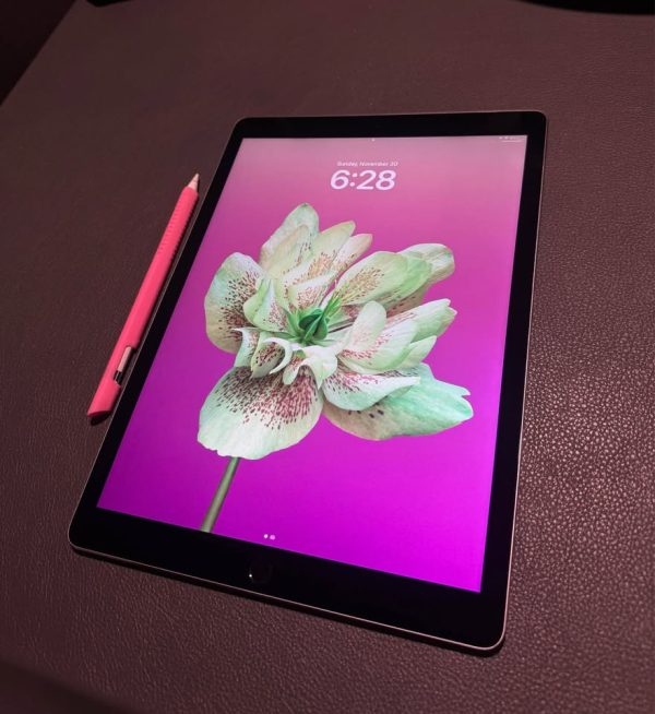 iPad Pro 12.9 inch w/ Apple Pencil