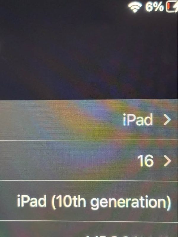 Pink iPad 10 256GB