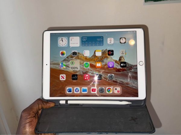 Apple ipad Pro (10.5inch) with case and Apple Pencil USB