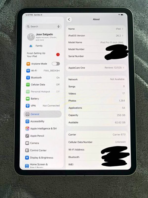 iPad Pro M4 Cellular Unlocked 11 inch 256GB Silver (2024) 7th gen