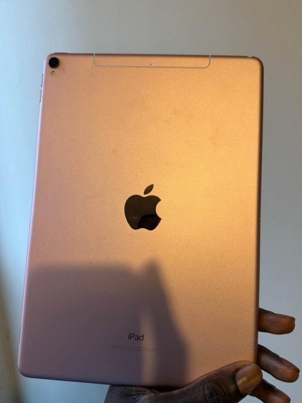 Apple ipad Pro (10.5inch) with case and Apple Pencil USB