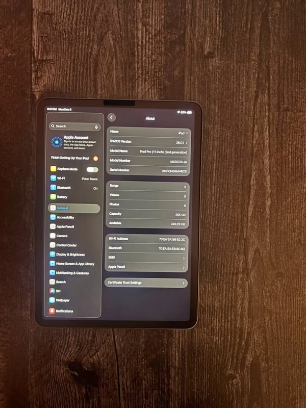 iPad Pro 11" 2nd Gen – 256GB, WiFi/Cellular, Mint + Apple Pencil