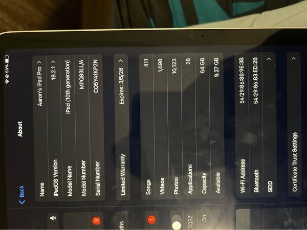 iPad (10th generation)