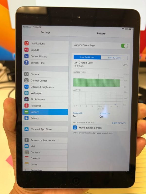 iPad mini 2