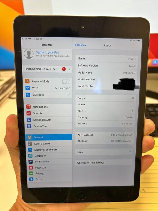 iPad mini 2
