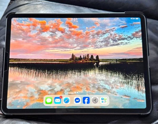 iPad Pro 11” 2nd gen 128GB w Pencil