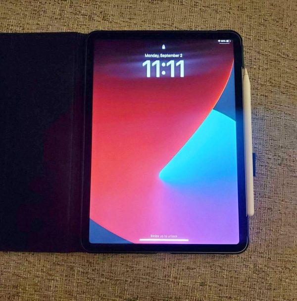 ipad pro 11 inch 2nd generation with case and Apple Pencil 8M59