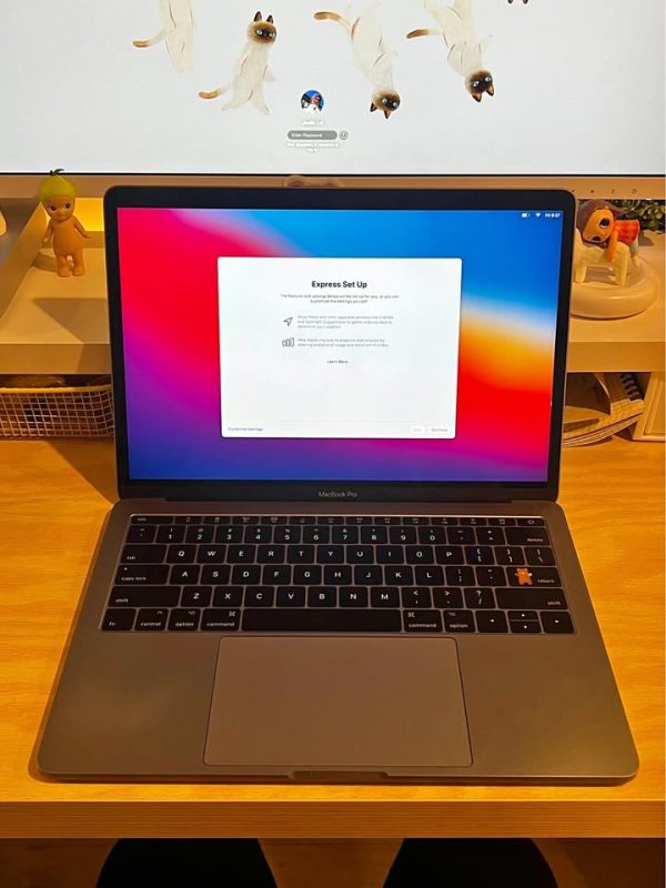 Macbook Pro 2017 13 inch with charger