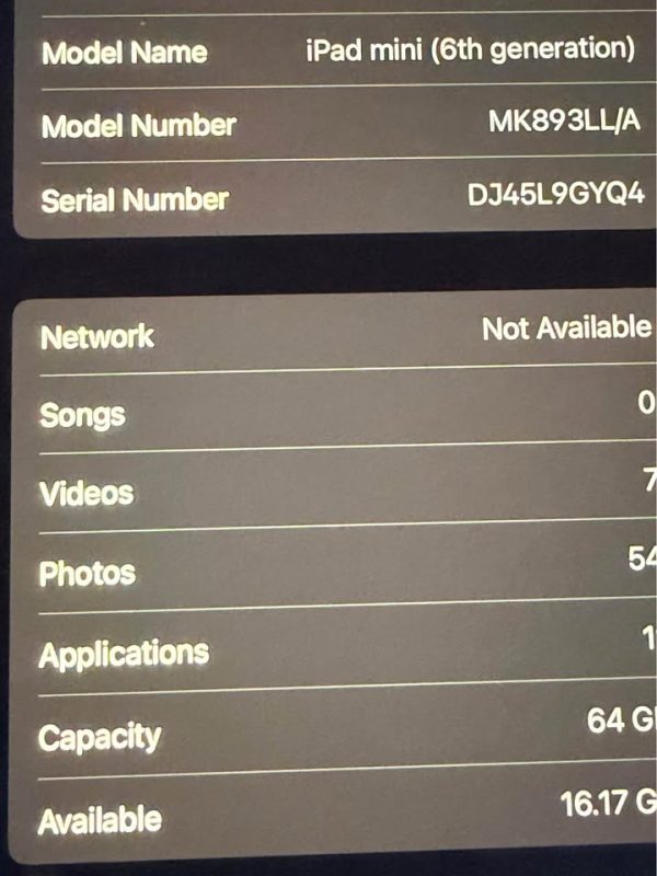 iPad Mini 6th generation 64GB Cellular Unlocked