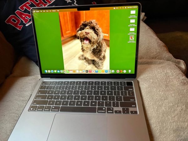 Apple MacBook Air- 13 IN (16GB) 2025 Model