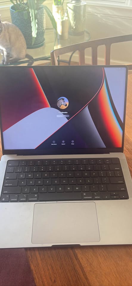 14Inch MacBook Pro Model A2442