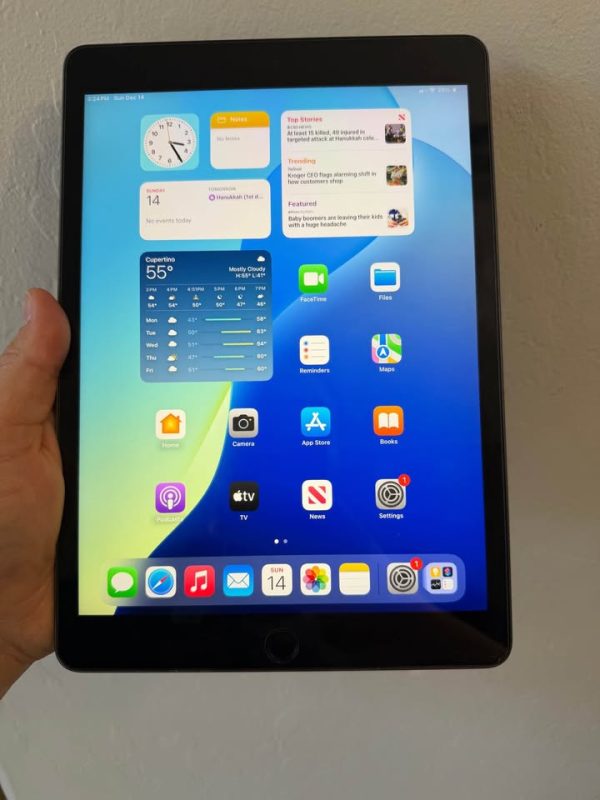 iPad 9th gen 256gb Wi-Fi + Cellular