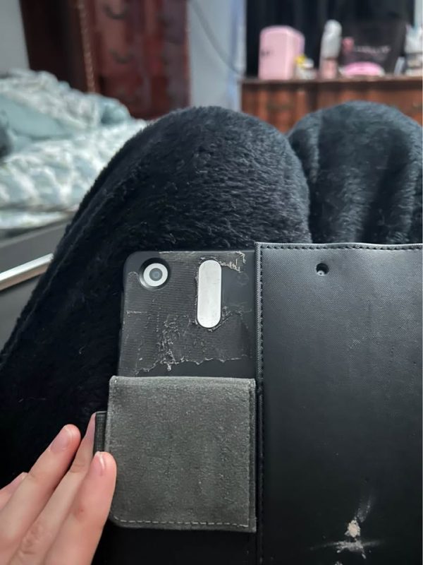 iPad (read description)