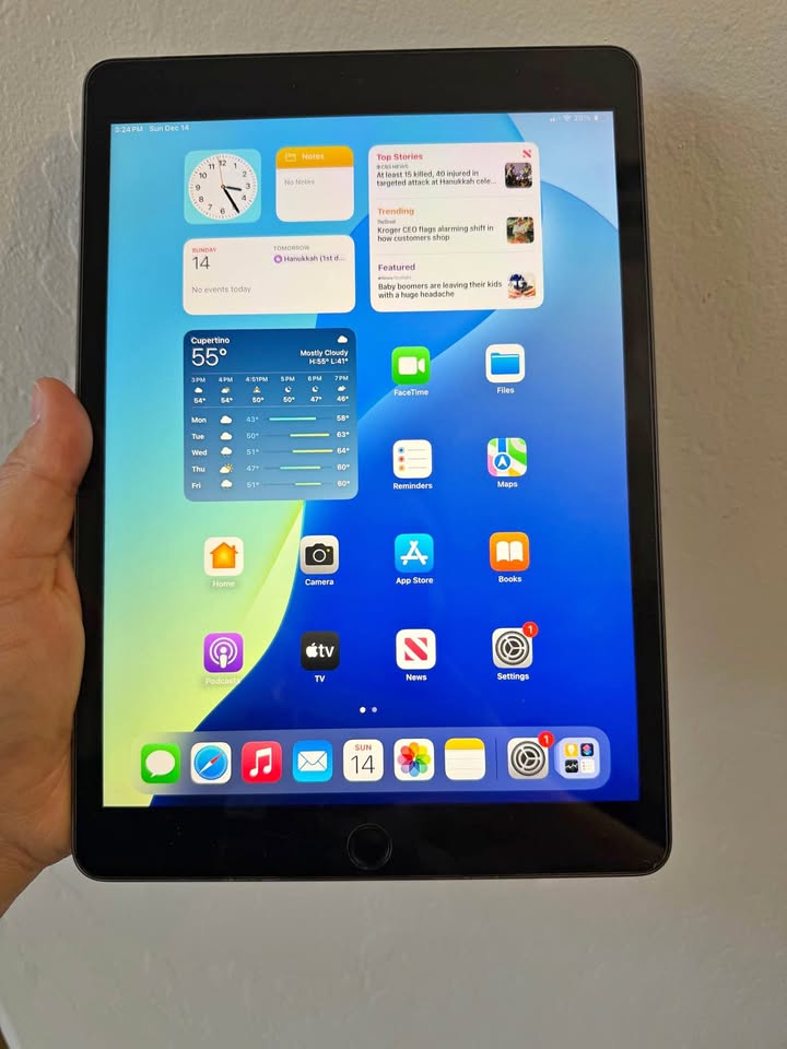 iPad 9th gen 256gb Wi-Fi + Cellular 3 iPad 9th gen 256gb Wi-Fi + Cellular