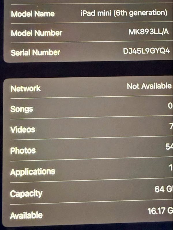 iPad Mini 6th generation 64GB Cellular Unlocked