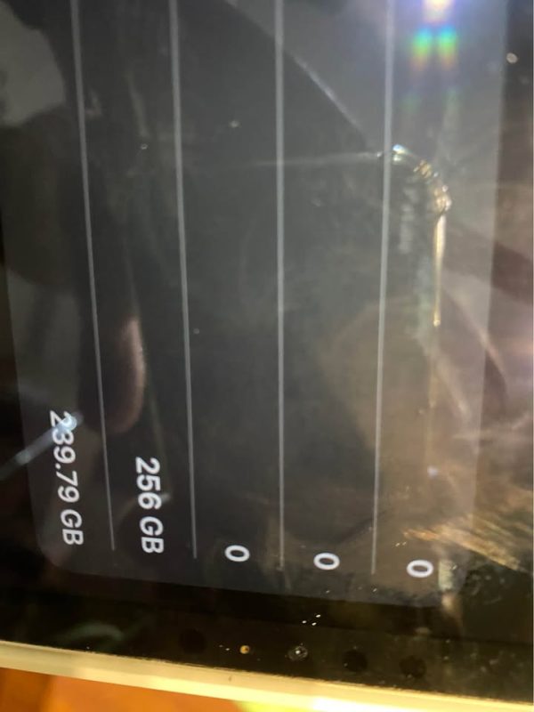 iPad Pro 12.9inch 256gb